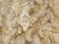 kodrasto naravno belo predivo 2.5 eur/50g